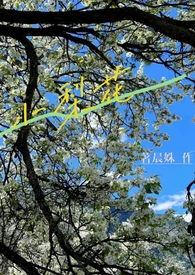小梨花生长环境